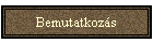 Bemutatkozás
