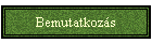 Bemutatkozs