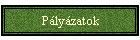 Pályázatok